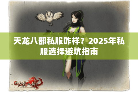 天龙八部私服咋样？2025年私服选择避坑指南
