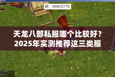 天龙八部私服哪个比较好?2025年实测推荐这三类服务器 天龙八部私服哪个比较好?2025年实测推荐这三类服务器