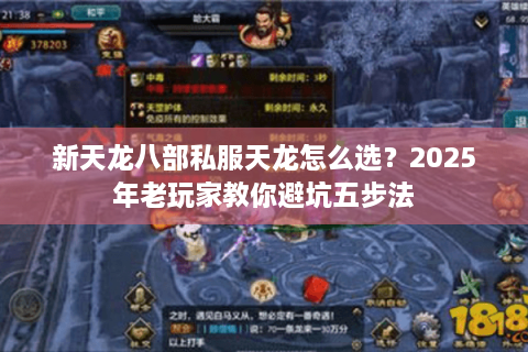 新天龙八部私服天龙怎么选？2025年老玩家教你避坑五步法