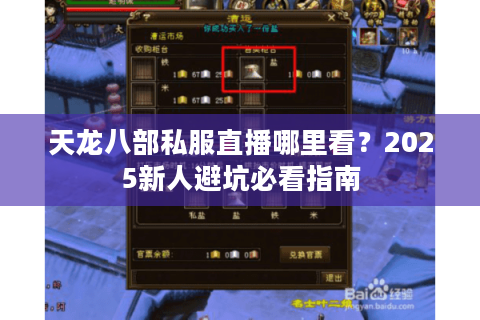 天龙八部私服直播哪里看？2025新人避坑必看指南