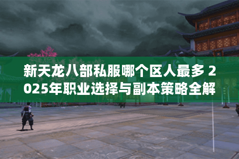新天龙八部私服哪个区人最多 2025年职业选择与副本策略全解析