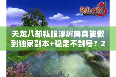天龙八部私服浮屠网真能做到独家副本+稳定不封号？2025实测数据揭秘