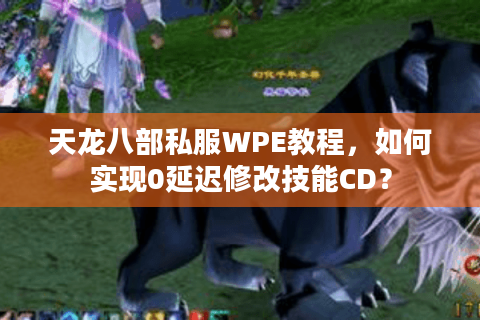 天龙八部私服WPE教程，如何实现0延迟修改技能CD？