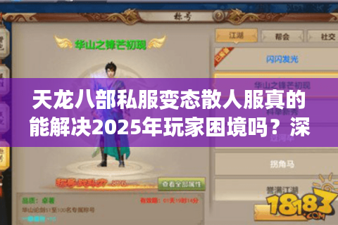 天龙八部私服变态散人服真的能解决2025年玩家困境吗？深度测评