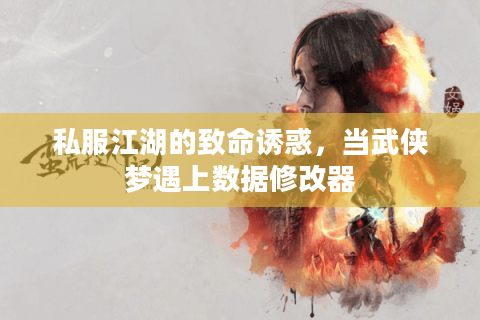 私服江湖的致命诱惑，当武侠梦遇上数据修改器