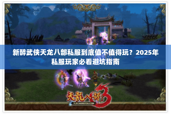 新醉武侠天龙八部私服到底值不值得玩？2025年私服玩家必看避坑指南