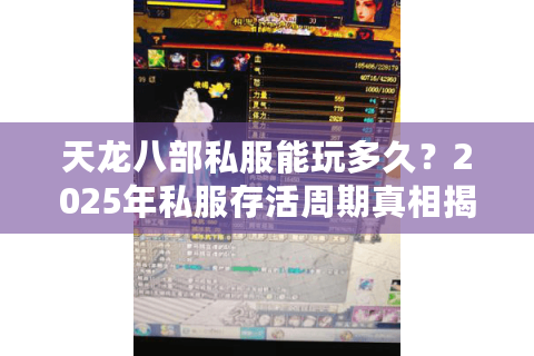 天龙八部私服能玩多久？2025年私服存活周期真相揭秘