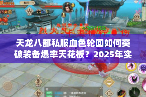 天龙八部私服血色轮回如何突破装备爆率天花板？2025年实测数据揭秘