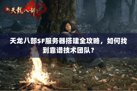 天龙八部SF服务器搭建全攻略，如何找到靠谱技术团队？