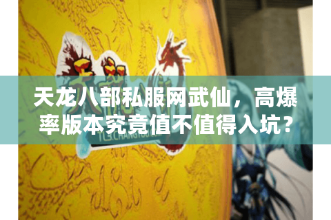 天龙八部私服网武仙，高爆率版本究竟值不值得入坑？