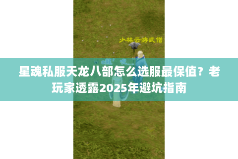 星魂私服天龙八部怎么选服最保值？老玩家透露2025年避坑指南