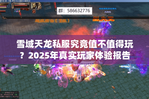 雪域天龙私服究竟值不值得玩？2025年真实玩家体验报告