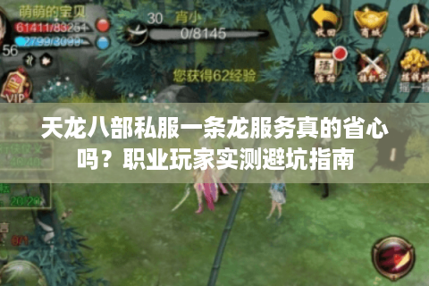 天龙八部私服一条龙服务真的省心吗？职业玩家实测避坑指南