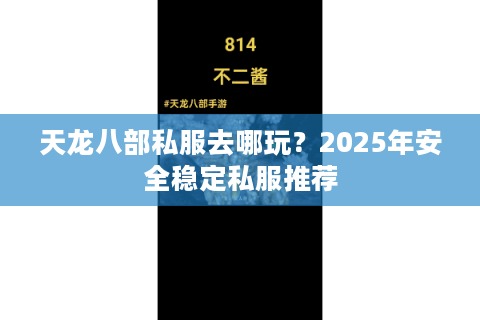 天龙八部私服去哪玩？2025年安全稳定私服推荐
