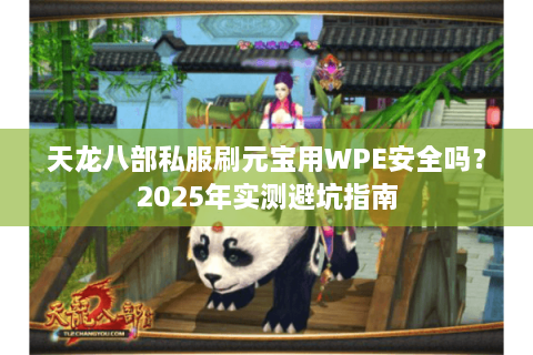 天龙八部私服刷元宝用WPE安全吗？2025年实测避坑指南