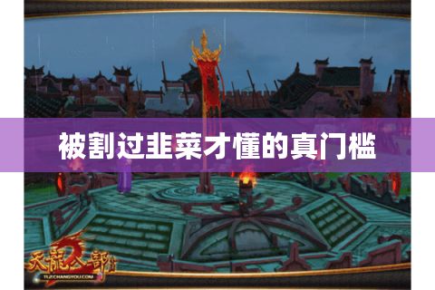 被割过韭菜才懂的真门槛