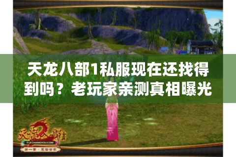 天龙八部1私服现在还找得到吗？老玩家亲测真相曝光