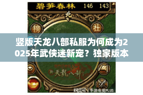竖版天龙八部私服为何成为2025年武侠迷新宠？独家版本测评