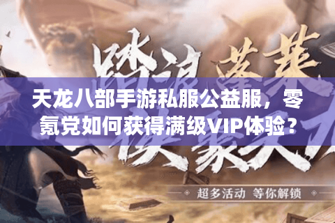 天龙八部手游私服公益服，零氪党如何获得满级VIP体验？