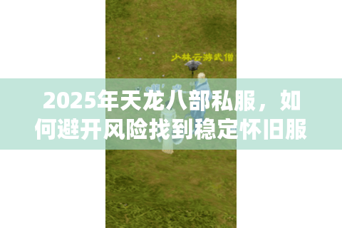 2025年天龙八部私服，如何避开风险找到稳定怀旧服？
