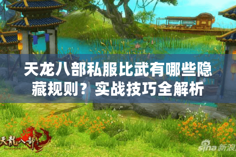 天龙八部私服比武有哪些隐藏规则？实战技巧全解析