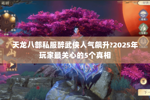 天龙八部私服醉武侠人气飙升?2025年玩家最关心的5个真相