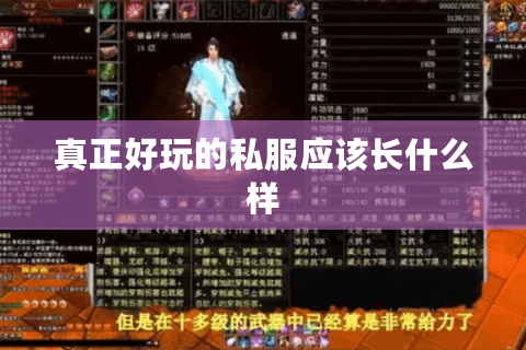 真正好玩的私服应该长什么样