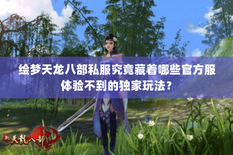 绘梦天龙八部私服究竟藏着哪些官方服体验不到的独家玩法？