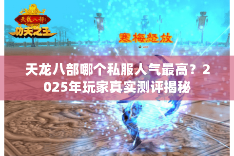 天龙八部哪个私服人气最高?2025年玩家真实测评揭秘 天龙八部哪个私服人气最高?2025年玩家真实测评揭秘