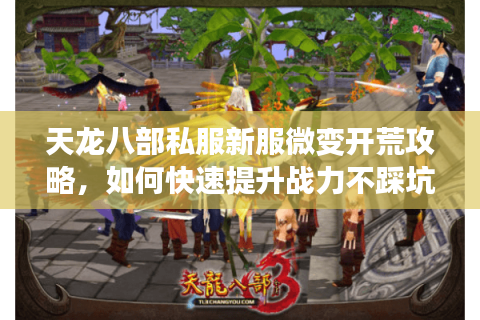 天龙八部私服新服微变开荒攻略，如何快速提升战力不踩坑？