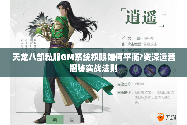 天龙八部私服GM系统权限如何平衡?资深运营揭秘实战法则