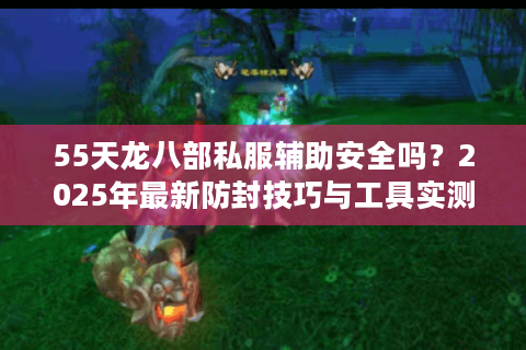 55天龙八部私服辅助安全吗？2025年最新防封技巧与工具实测