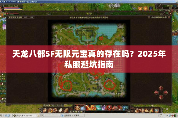 天龙八部SF无限元宝真的存在吗？2025年私服避坑指南