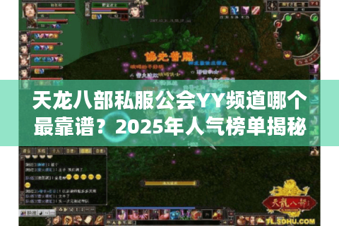 天龙八部私服公会YY频道哪个最靠谱？2025年人气榜单揭秘