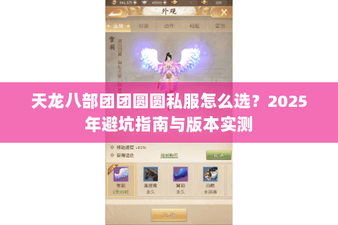 天龙八部团团圆圆私服怎么选？2025年避坑指南与版本实测