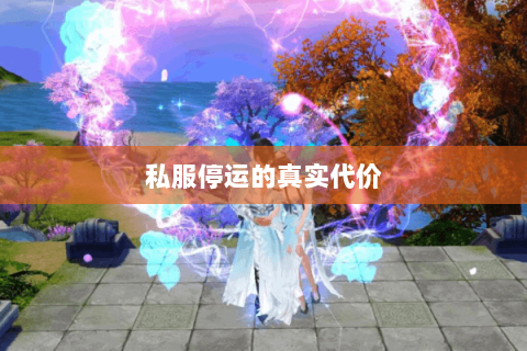 私服停运的真实代价