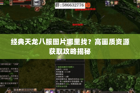 经典天龙八服图片哪里找？高画质资源获取攻略揭秘