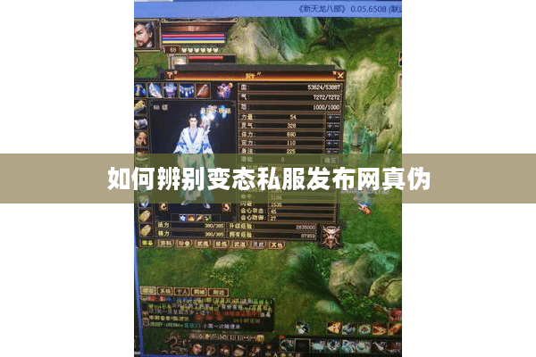 如何辨别变态私服发布网真伪