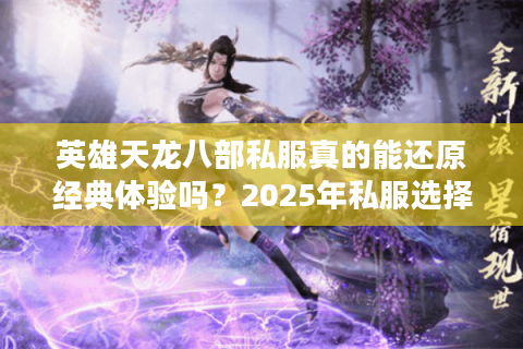 英雄天龙八部私服真的能还原经典体验吗？2025年私服选择全解析