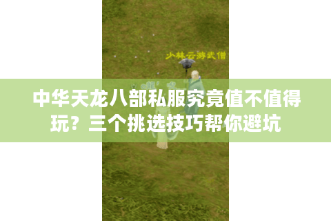 中华天龙八部私服究竟值不值得玩？三个挑选技巧帮你避坑