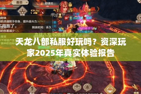 天龙八部私服好玩吗？资深玩家2025年真实体验报告