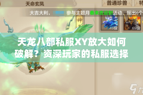 天龙八部私服XY放大如何破解？资深玩家的私服选择与战力提升指南