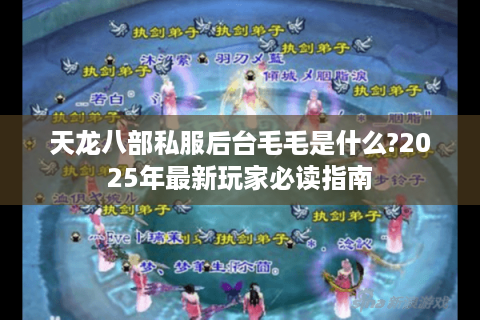 天龙八部私服后台毛毛是什么?2025年最新玩家必读指南