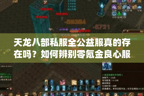 天龙八部私服全公益服真的存在吗？如何辨别零氪金良心服务器