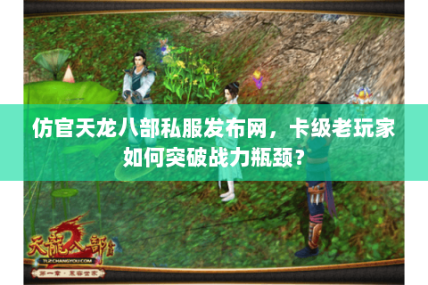 仿官天龙八部私服发布网，卡级老玩家如何突破战力瓶颈？