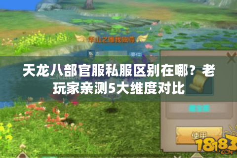 天龙八部官服私服区别在哪？老玩家亲测5大维度对比