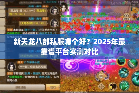 新天龙八部私服哪个好？2025年最靠谱平台实测对比