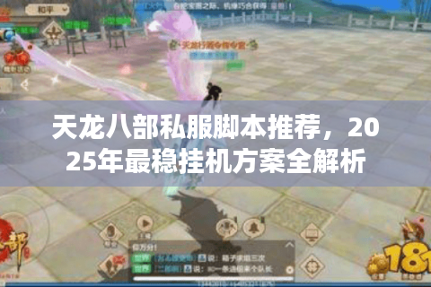 天龙八部私服脚本推荐，2025年最稳挂机方案全解析