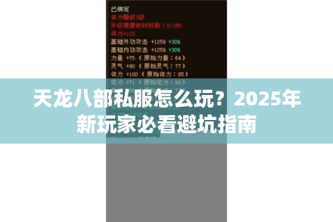 天龙八部私服怎么玩？2025年新玩家必看避坑指南