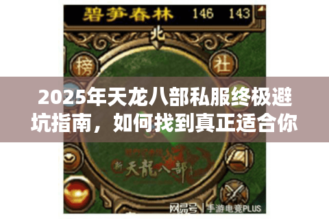 2025年天龙八部私服终极避坑指南，如何找到真正适合你的武侠世界？